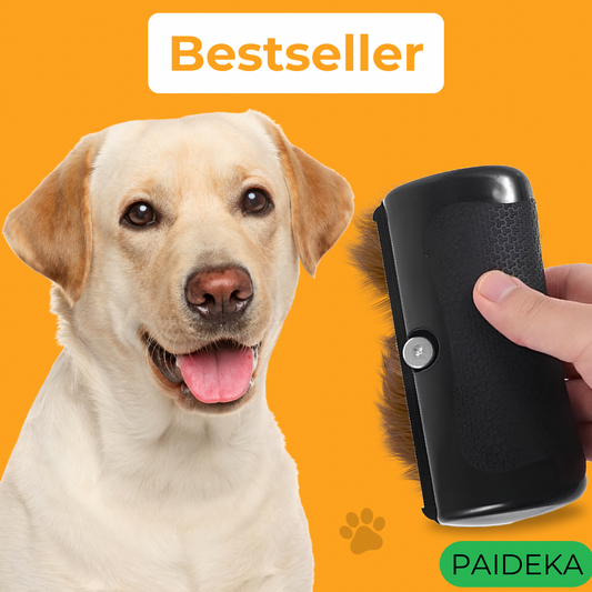 Paideka|Animal brush